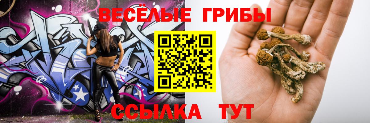 Галлюциногенные грибы мицелий  купить наркоту  Шадринск  Галлюциногенные грибы Psilocybine cubensis  Вход с VPN 